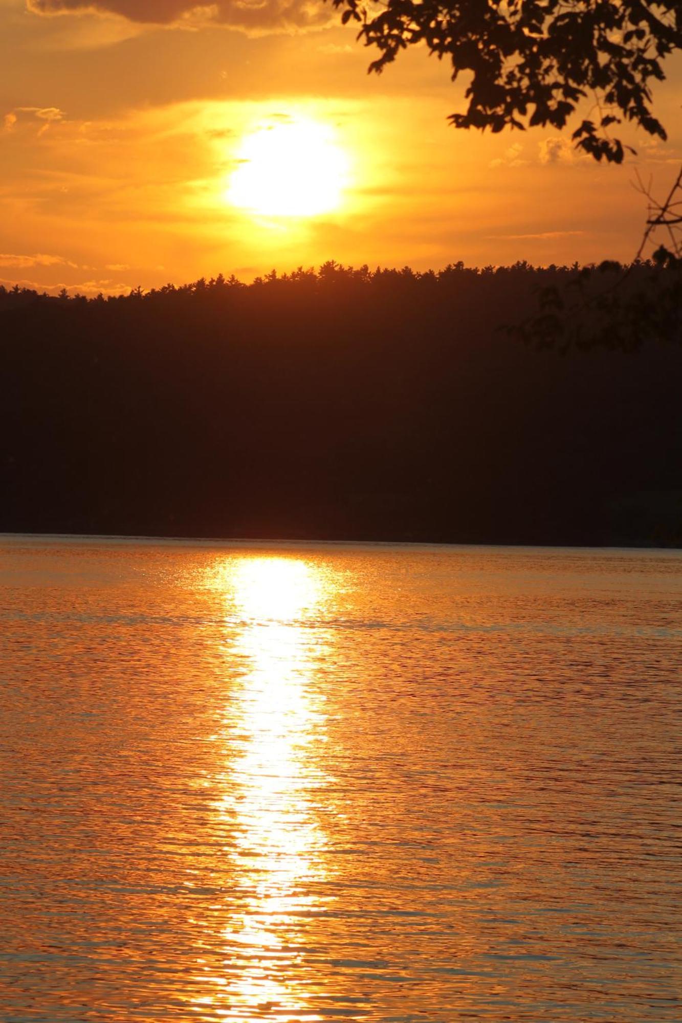 Basin Harbor Otel Vergennes Dış mekan fotoğraf